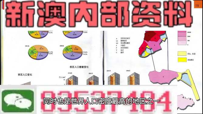 新澳门正版免费资料怎么查|精选资料解析落实