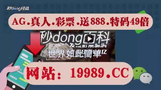 2024澳门天天六开奖彩免费|精选资料解析落实