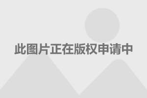 三版人民币最新价格表