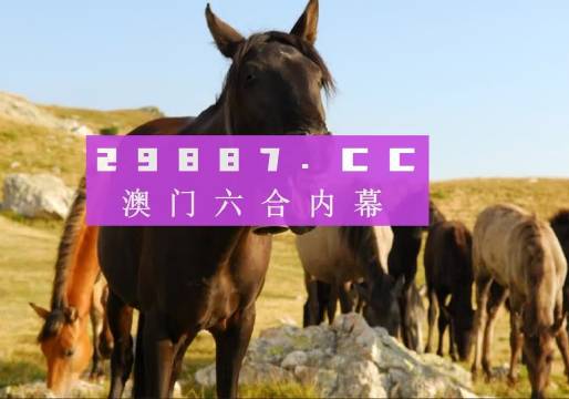 管家婆一肖一码澳门|精选资料解析大全