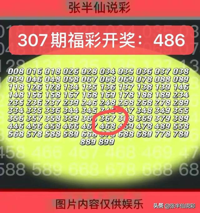 7777788888精准一肖,揭秘彩票背后的神秘数字，精准一肖与数字组合77777与88888的奥秘