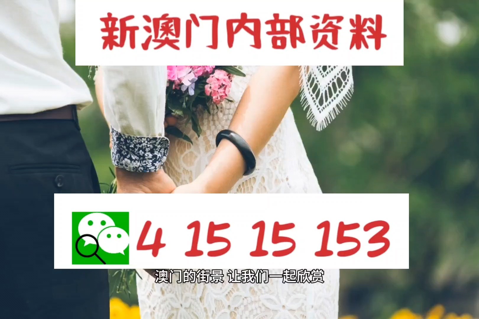 今晚澳门特马开的什么,今晚澳门特马开出的神秘号码