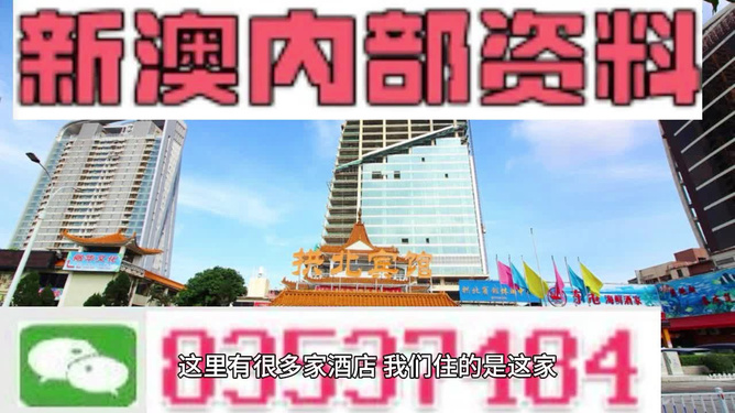 新澳门资料大全正版资料六肖,新澳门资料大全正版资料六肖，深度解读与探索
